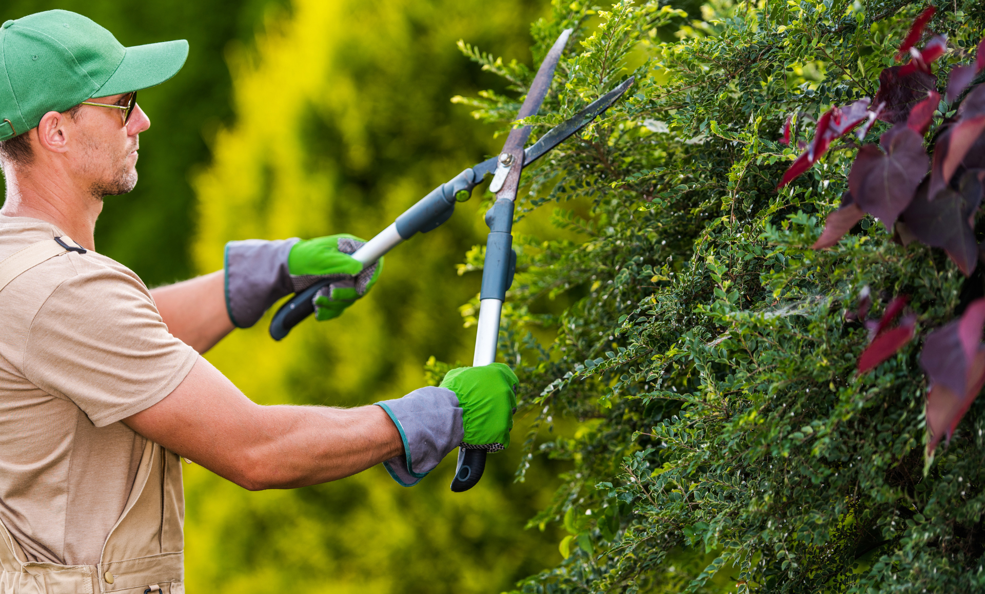 Grünpflege